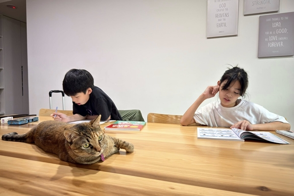 徐小可陪孩子自學