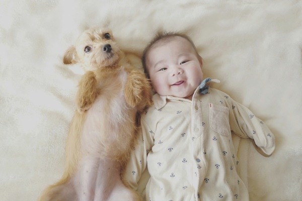 小孩和毛孩安全