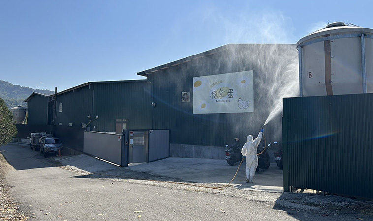 「蛋」已回不來！豐康牧場隱匿禽流感、私埋死雞，家長必讀雞蛋安全FAQ