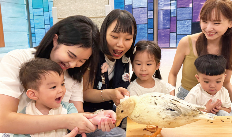 不用去動物園！新竹煙波變身「沉浸式生態教室」，摸刺蝟、看小鱷魚、解謎題，玩出孩子的大能力！