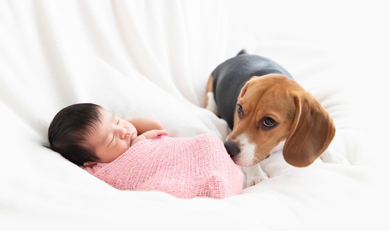 毛孩與小孩可以一起長大嗎？ 當毛孩成為兄弟姊妹，孩子慢慢學會的8件事