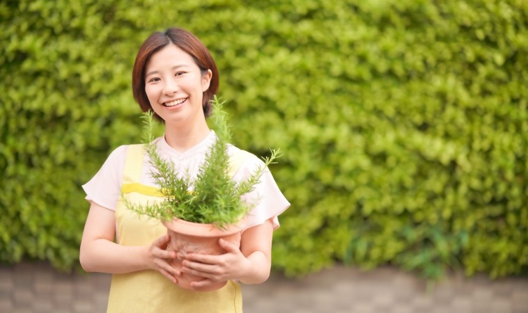 最新全台凍卵補助一次收集｜年齡、資格、金額、申請方式超實用整理