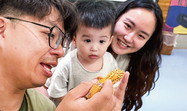 兒童節連假去哪放電？新竹煙波把飯店變成生態樂園，近距離觀察小鱷魚、刺蝟，陪孩子在冒險中學會觀察世界