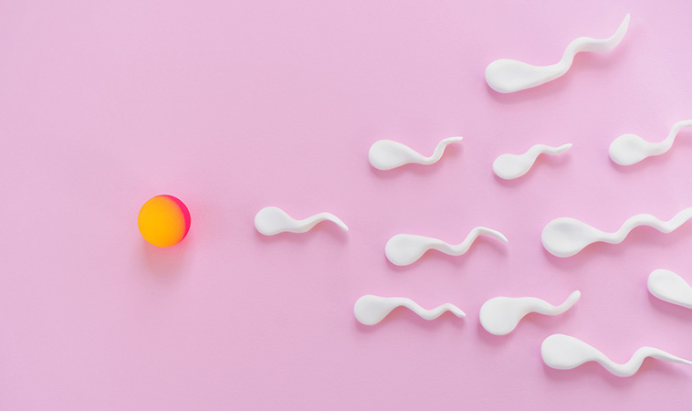 想要好孕來！男性可以這樣做，中醫3朝幫助調整好孕氣！