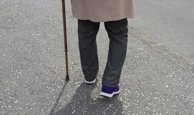 長照悲歌！台北79歲媽媽殺害53歲癱瘓兒，法官判2年半，建請總統特赦！律師聲援