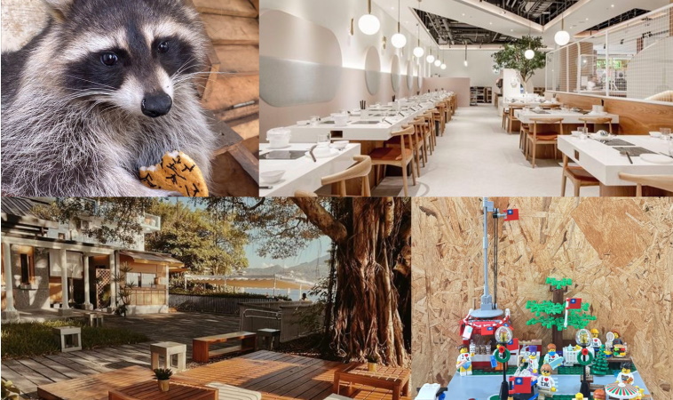 【2026新北市親子餐廳推薦】嚴選6家超人氣清單！球池溜滑梯、可愛動物、樂高天堂